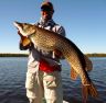 trophy northern pike