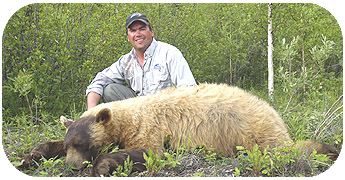 Bear Hunting - Blonde & Black Bear