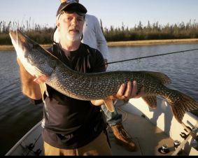 Trophy northern pike