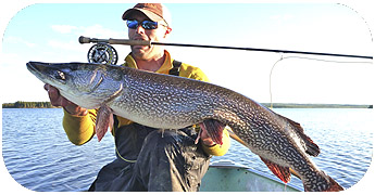 Trophy Pike Fishing